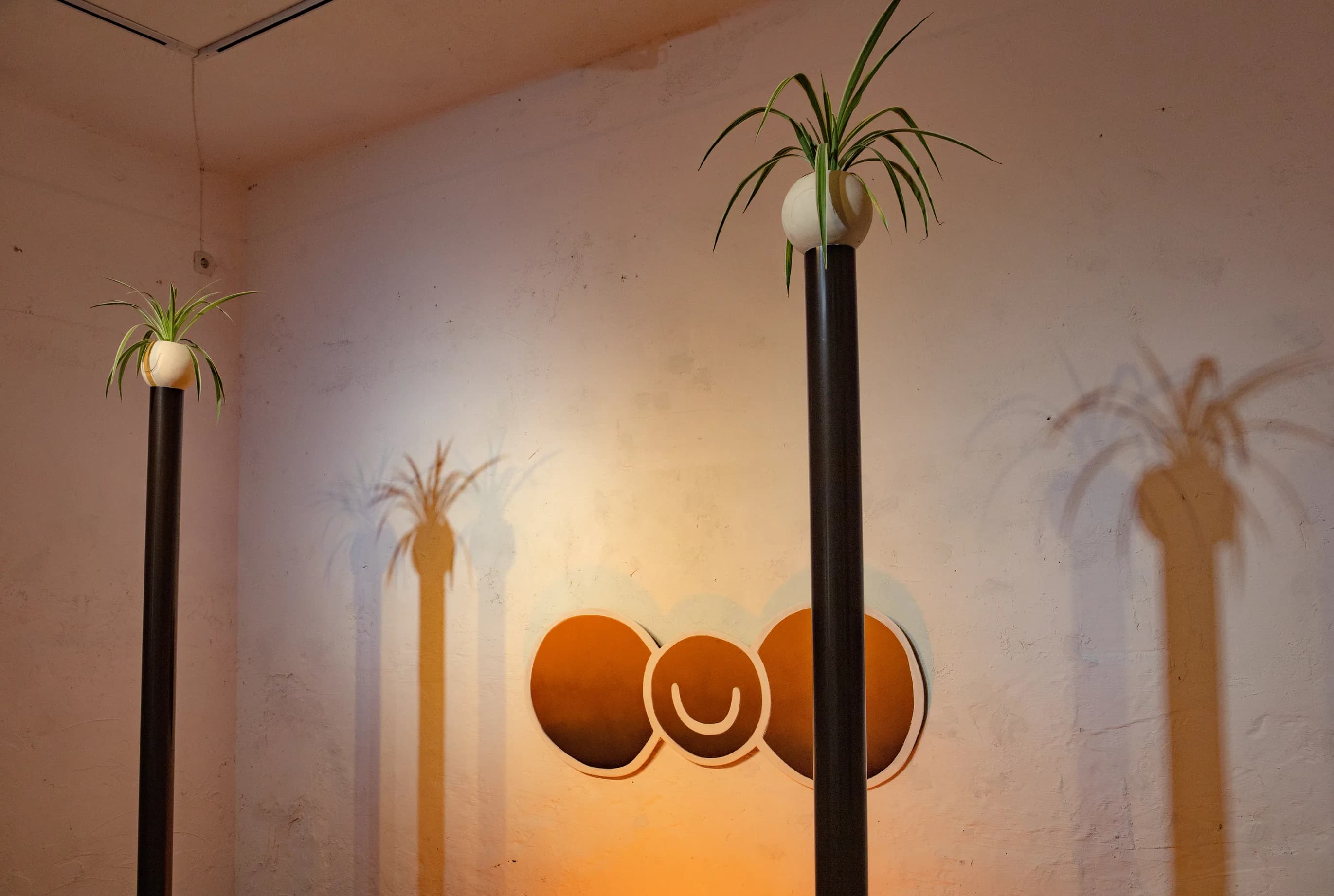 Two black poles topped with potted spider plants in front of a glowing pink wall with three round wall pieces